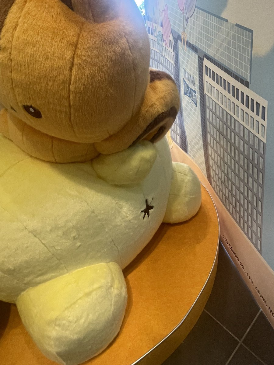 ygacham's tweet photo. 新宿タカシマヤのねころびプリンも見に行ったよ🐶
おっきくてめっちゃかわいかったしちゃんとおしりのしるしもあった🥹
サンリオハウスにも行けて、1日プリン充してめっちゃ癒された✨ https://t.co/mMPwQyylHn