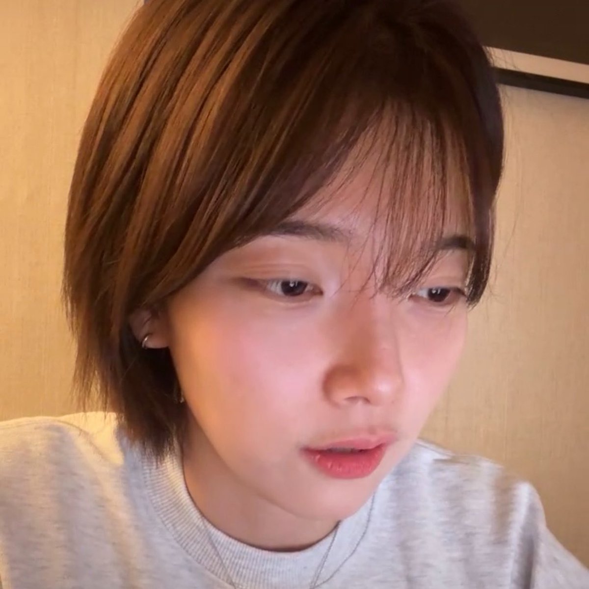 감자 tweet media