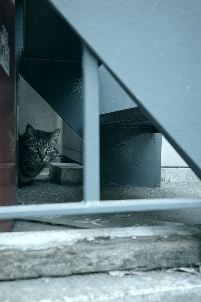 cameratosake's tweet photo. #RICOH 
#GR3x https://t.co/XsPhr3B8e9