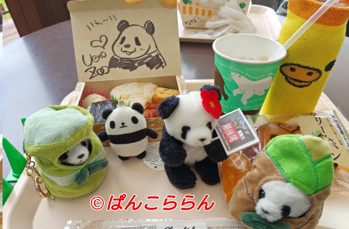 ららんさん2 (@raran_san2) / Posts / X