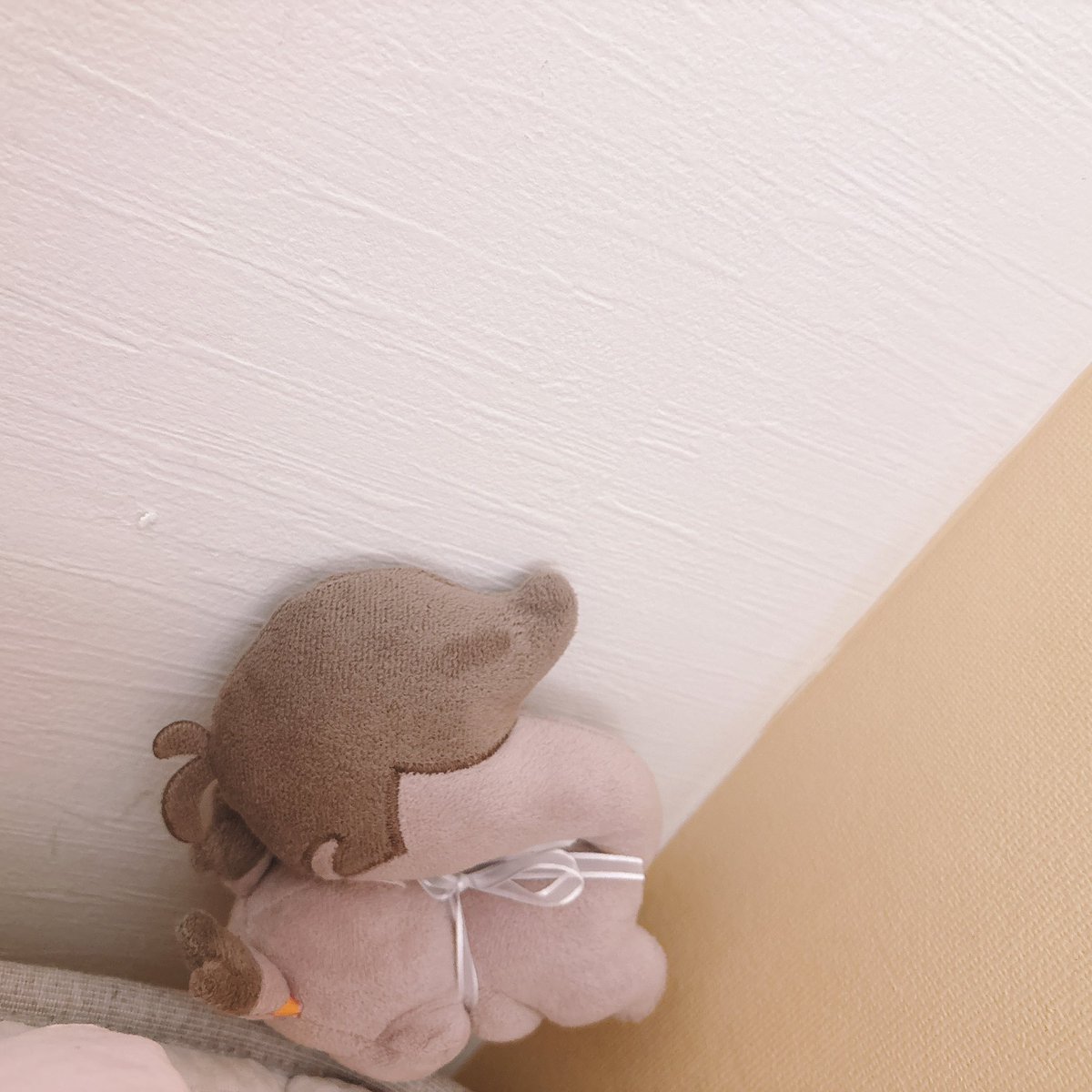 ほしがりす𝜗𝜚 tweet media
