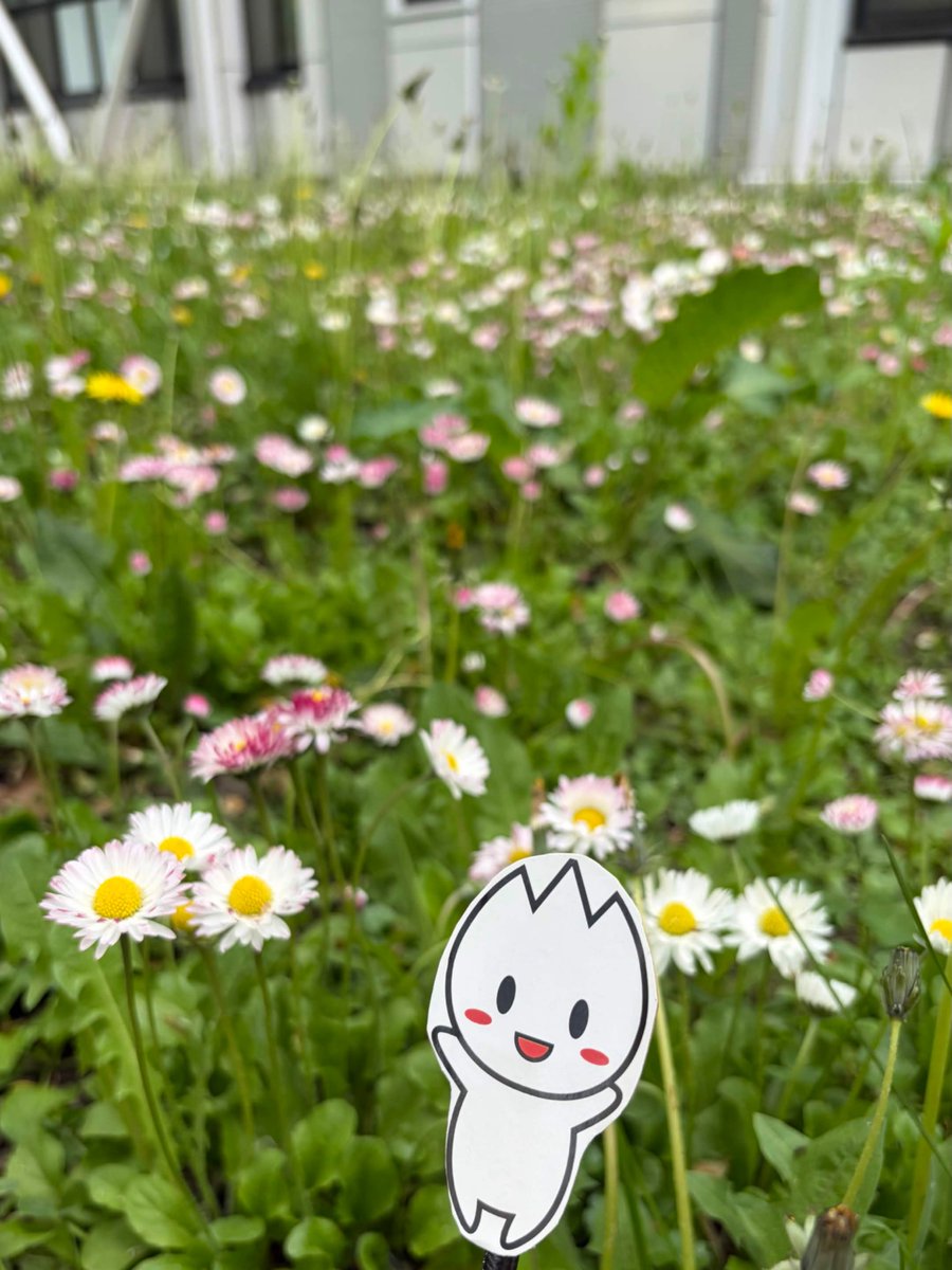 FUTTO_KUN's tweet photo. みんな〜！
第68回北大祭までついにあと10日だよ〜！🎉

準備もラストスパート！
みんなが輝いている姿はまさに「星譜」にぴったりだね🎶
楽しい企画がいっぱいで僕は今からワクワクがとまらないよ‼️

早くみんなに会いたいなぁ〜
ふつふつ🌈🔆

#北大祭 #第68回北大祭 #星譜  #北海道大学 #ふっとう君 https://t.co/kzwT2R7Dw9