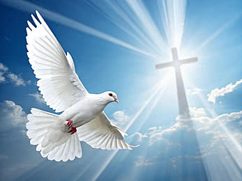 vaneMartins754's tweet photo. ¡Aleluya!
Ven, Espíritu Santo, llena los corazones de tus fieles y enciende el ellos el fuego de tu Amor. ¡Aleluya!
#Pentecostés
#VenEspirituSanto
#GLORIAaDios https://t.co/BSjWojocDP