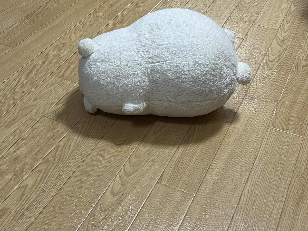 kuma_ami_m's tweet photo. 💤 https://t.co/axlDHKrEix