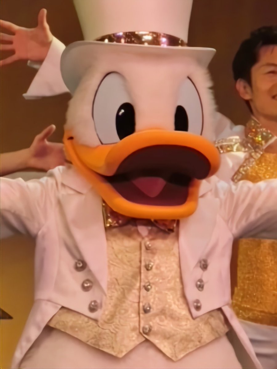 チンチラ4兄妹 tweet media