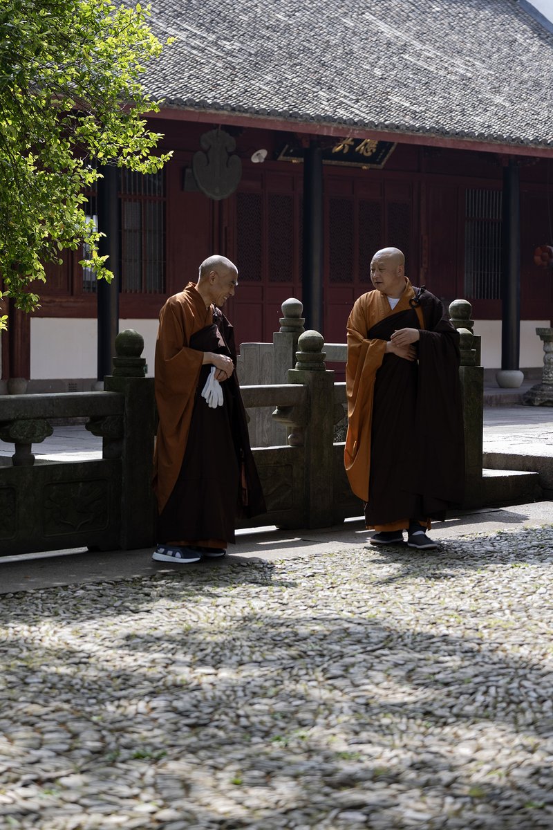LongGao9's tweet photo. Monks, nuns https://t.co/Lc86JTAHaF