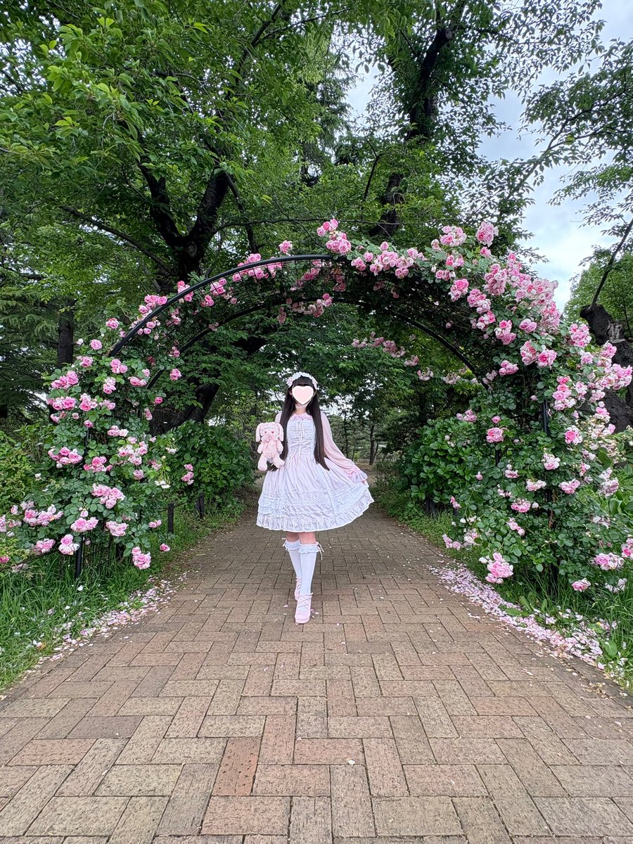pretty_sugery's tweet photo. https://t.co/j2kVPbFGkx