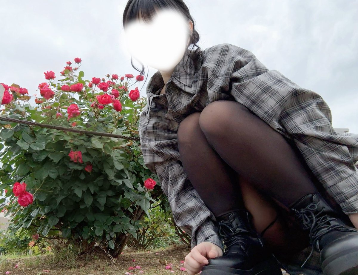 もみじ tweet media