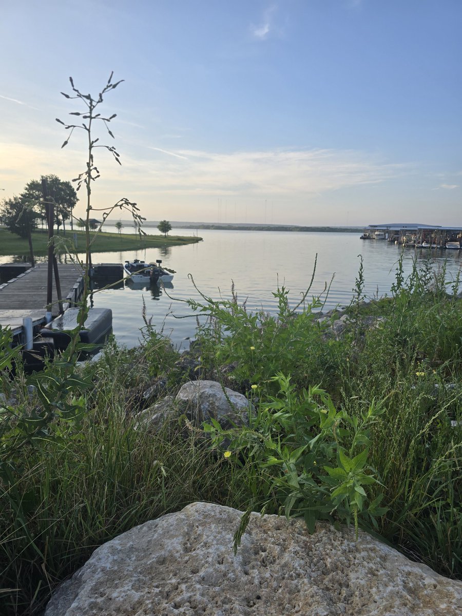 DawnWhiteNews's tweet photo. Good Sunday morning from the beautiful Joe Pool Lake ๐ in Grand Prairie, TX.
Photojournalist Tim and I are out live on @CBSNewsTexas for a story on boating water safety.
#weekendvibes #weekendmood #sundayvibes #sundayfunday #JoePoolLake #grandprairetx https://t.co/FY1BpfDptH