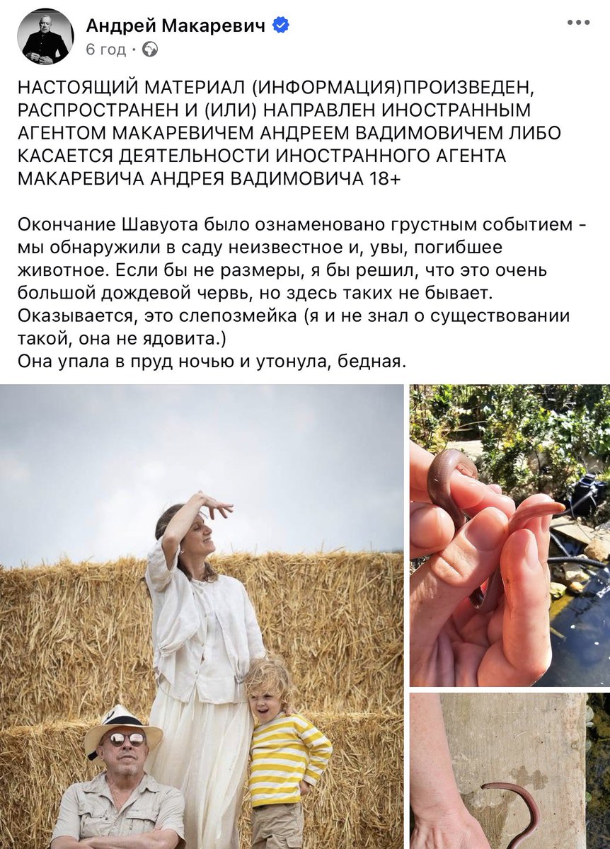 Aider Muzhdabaiev tweet media