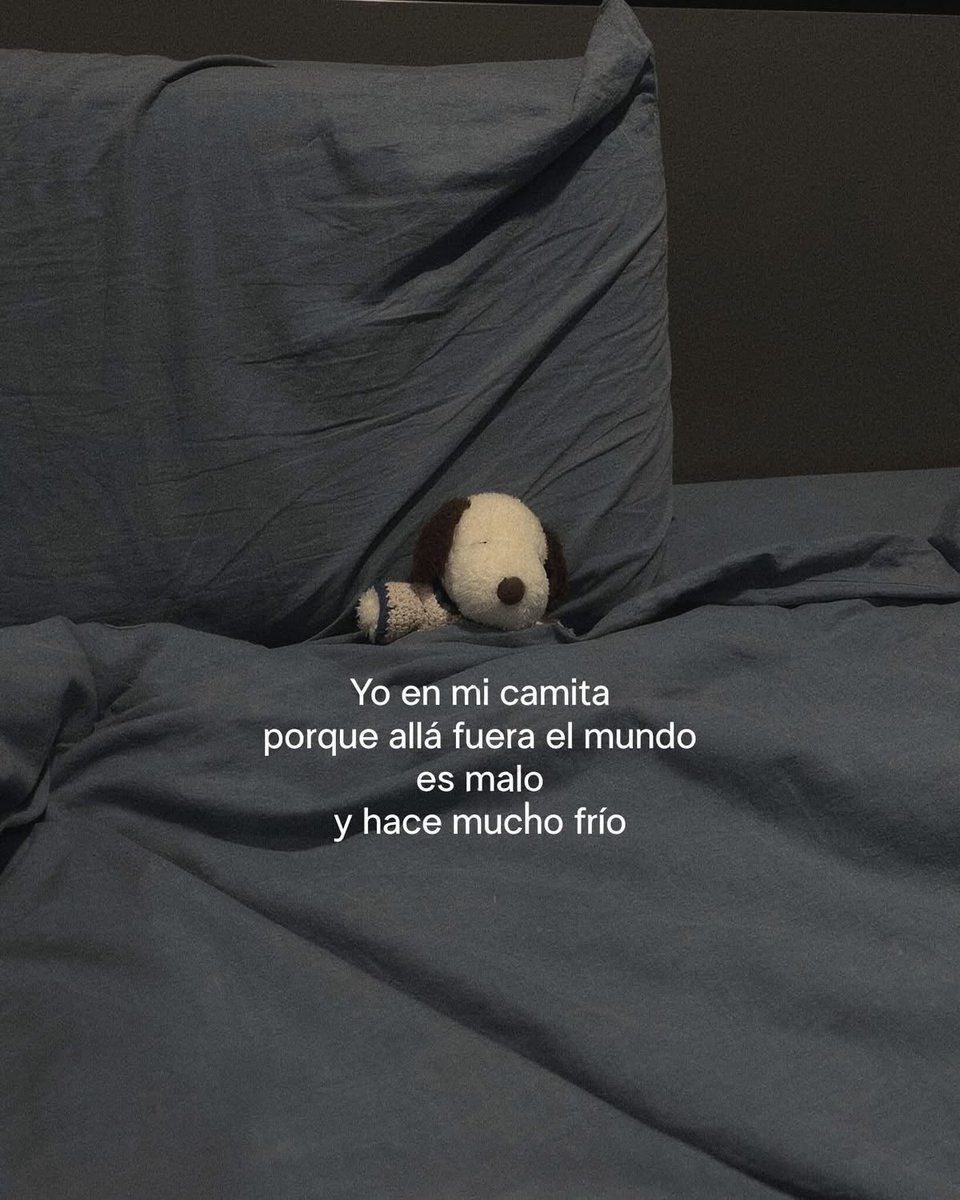 🌙 mini textos tweet media