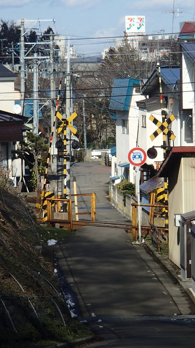 あおもりきのこ tweet media