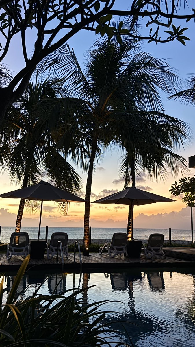 rrraaa72's tweet photo. Under the palm 🌴 https://t.co/VSJizcttum