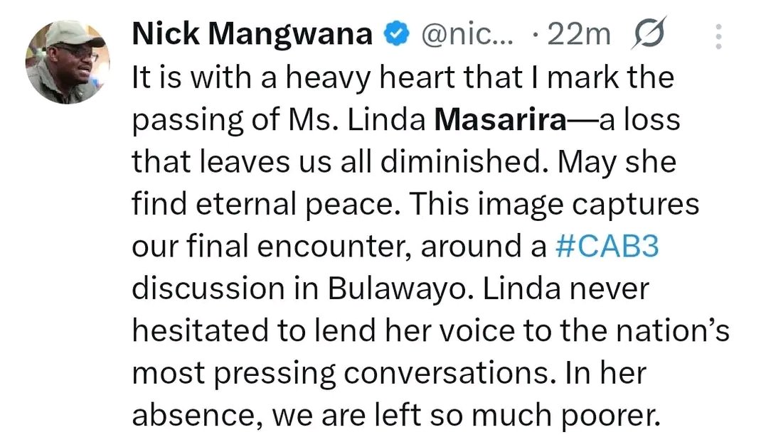 Jacob Ngarivhume tweet media
