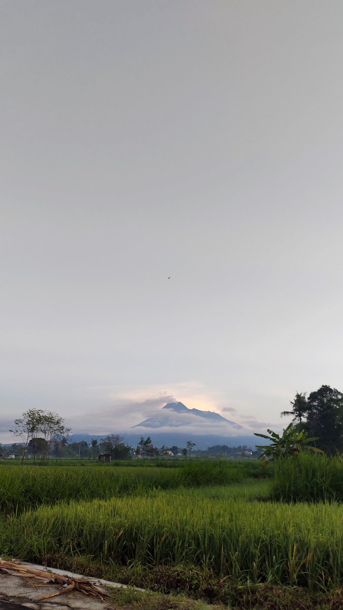 Ulilnih's tweet photo. ☀️ https://t.co/NzVDrogEHc