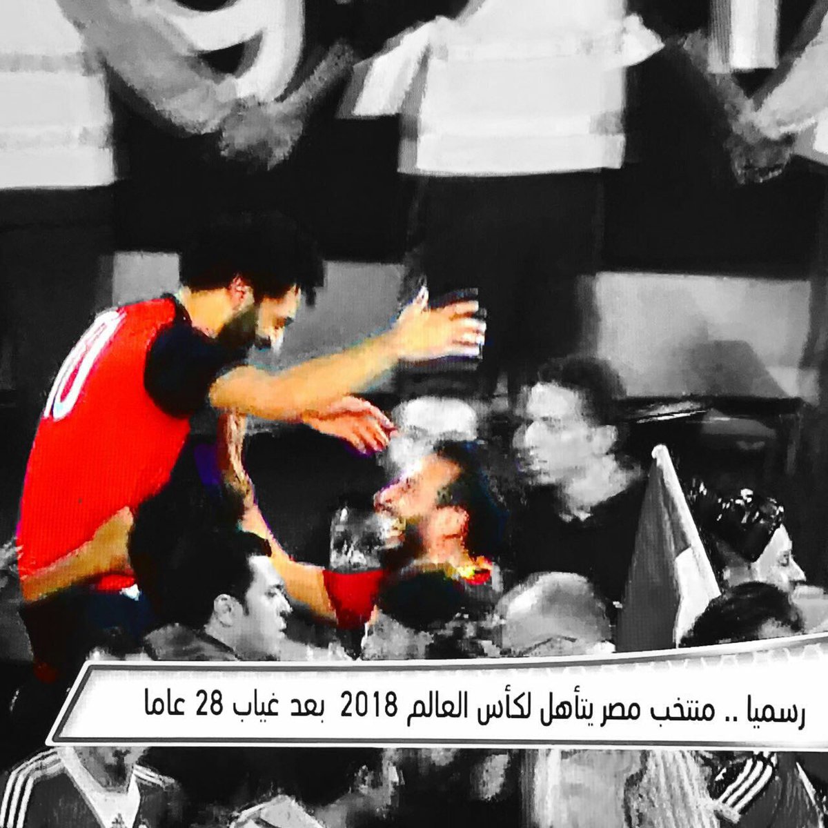 عمرو نصوحي tweet media