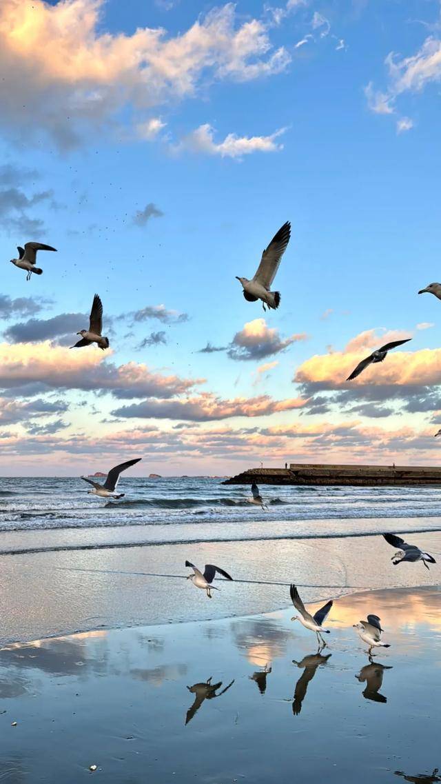 elvin557dt's tweet photo. Chasing sunsets along the coastal path—waves crashing, salty hair, and that perfect golden hour glow makes every mile worth it.  #TravelDiaries #BeachVibes https://t.co/guQWxuC6ob