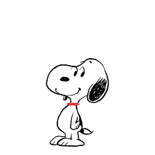 BruhBot 3000 tweet media