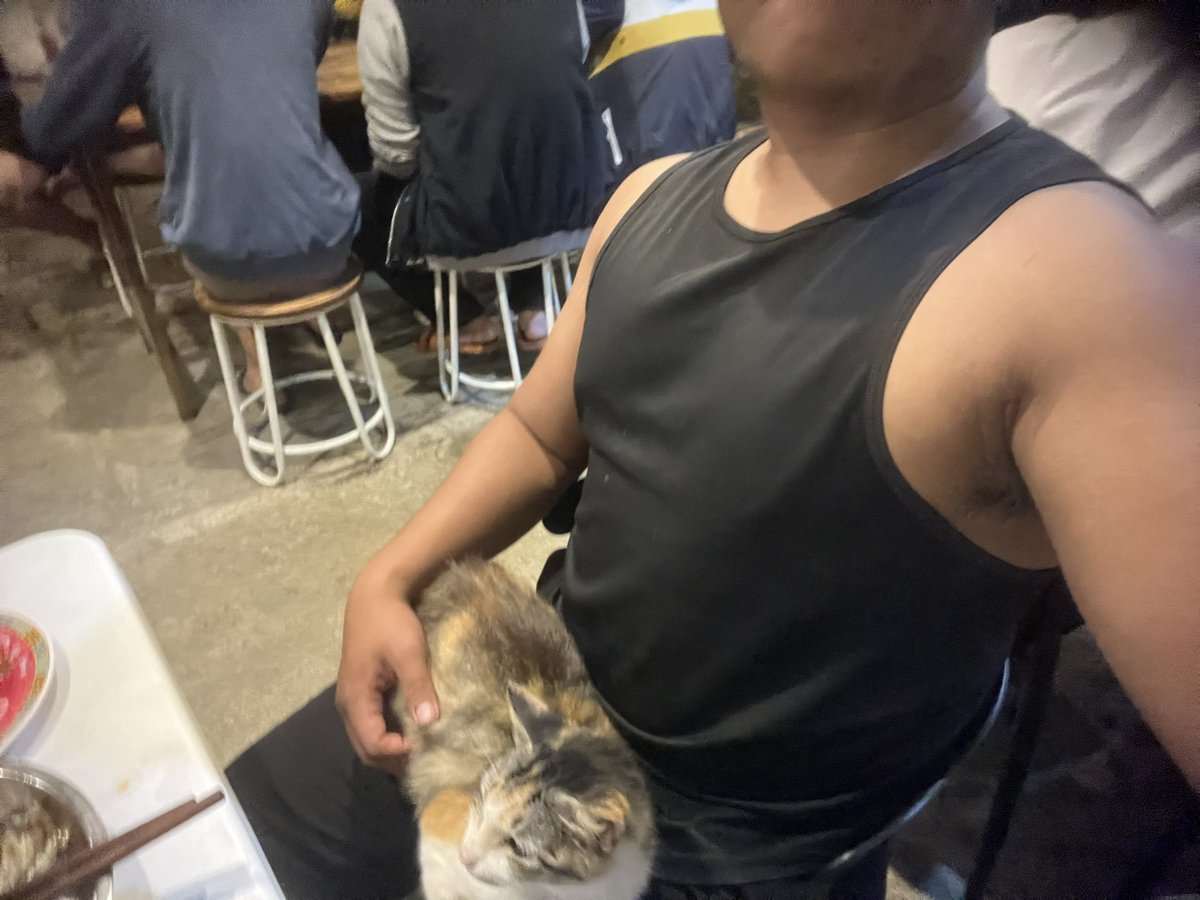 kinghellsert_'s tweet photo. Kucing aja anteng apalagi kamu https://t.co/IRZJr77IS2