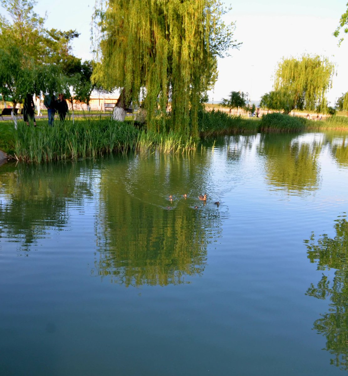 xyzwtf_55's tweet photo. Afternoon reflections
#sundayvibes https://t.co/d2cMEgIGEi