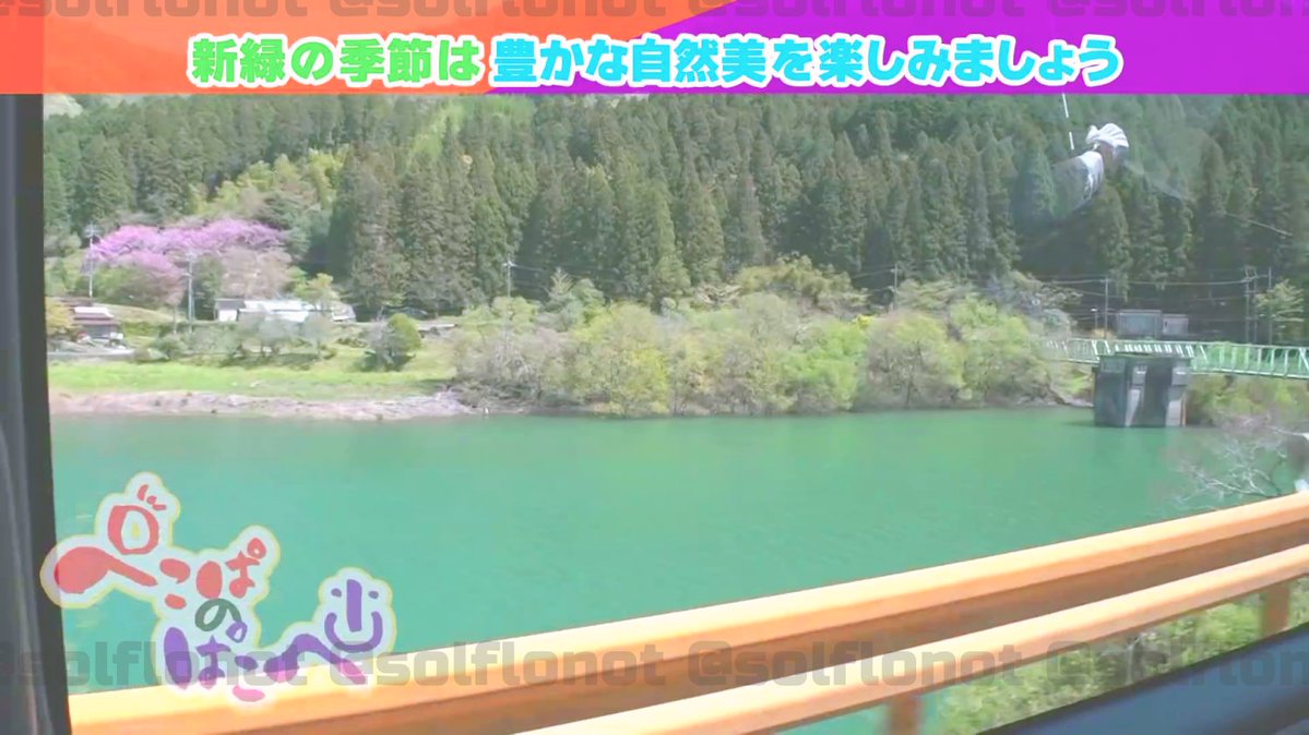 はな、うらない tweet media