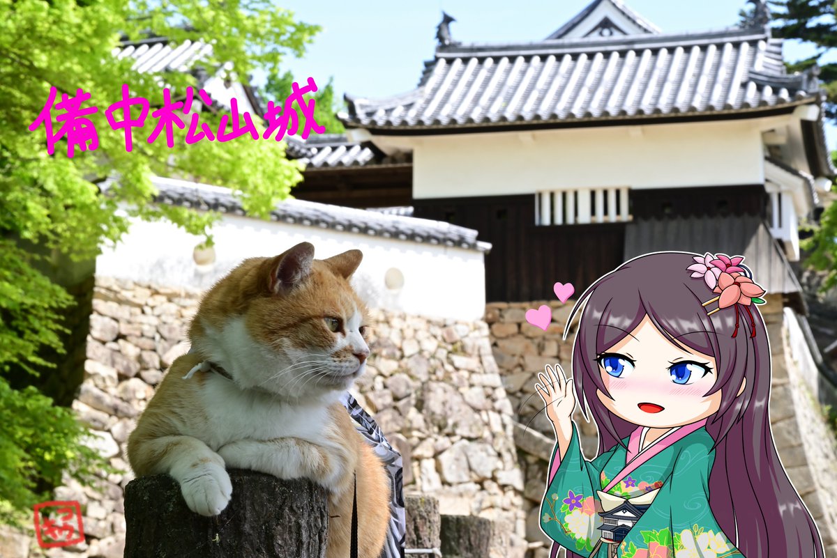 コウキ tweet media