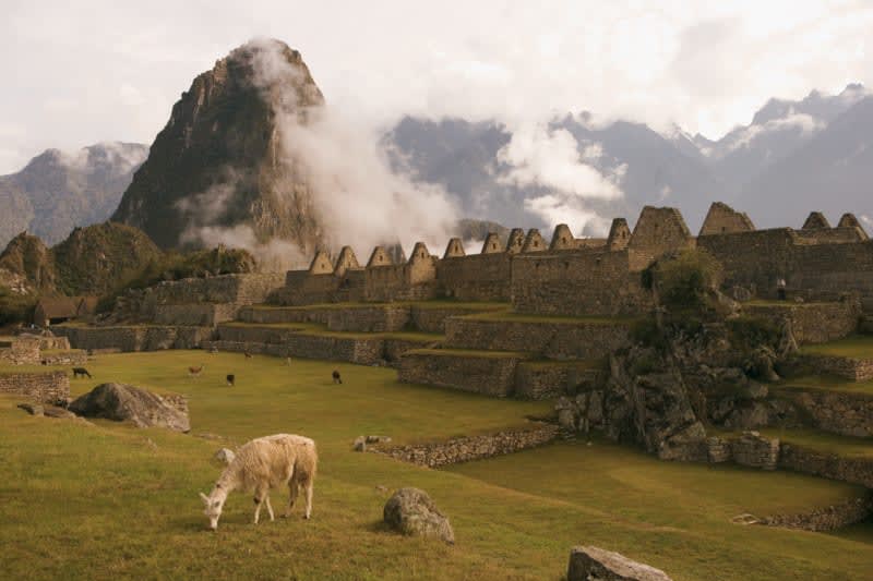 sssharp313's tweet photo. 🏔️🌟 Explore the marvelous wonders of South America with our incredible itineraries! Discover the majestic Machu Picchu and the vibrant culture of Cusco, Peru. 🌄

Are you ready to embark on this unforgettable adventure? Contact me today to book your South America getaway! 📞 https://t.co/RbC0ec6nh7
