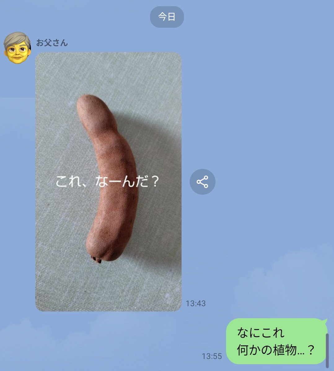 なごみ(男爵) tweet media