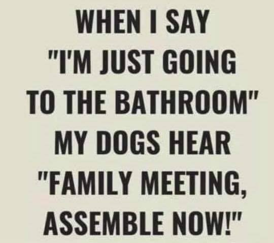 Papa Woof und Krampus und Bleaken tweet media
