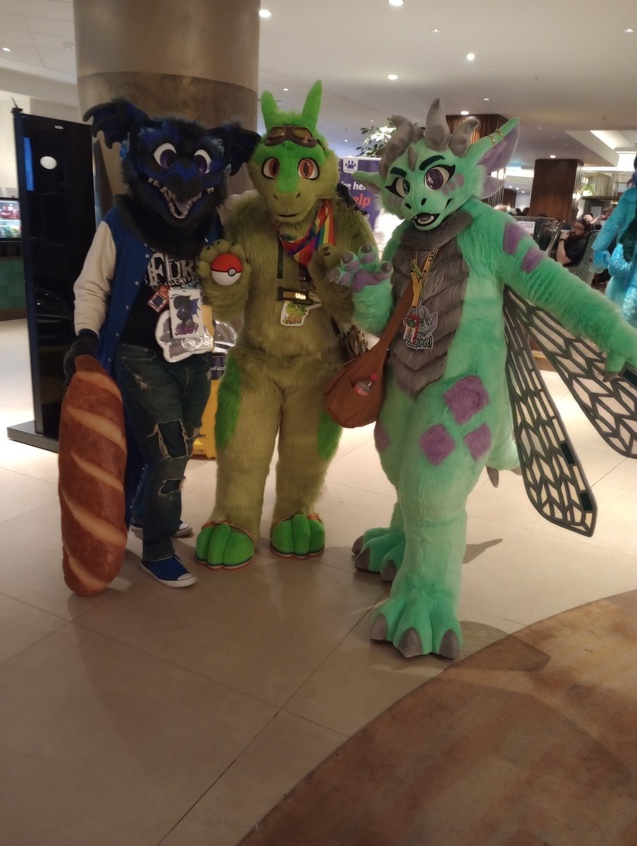 SebbySpresso, The Feine Bean, NOT A NEWT 🔜CFZ tweet media