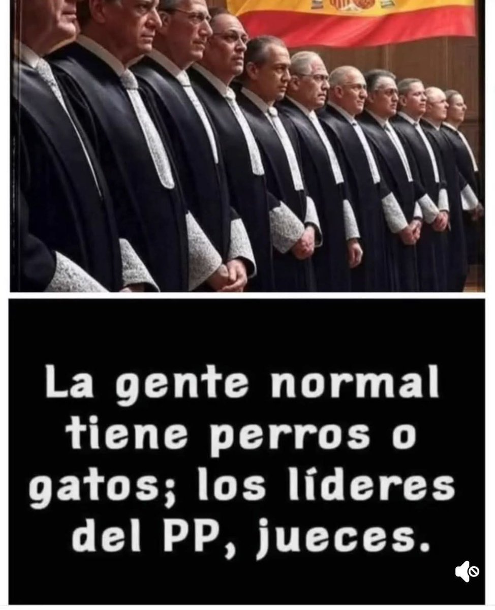 francisca gomez orti tweet media