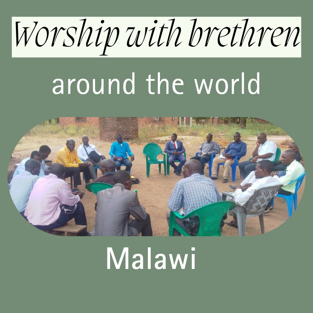 World Video Bible School (WVBS) tweet media