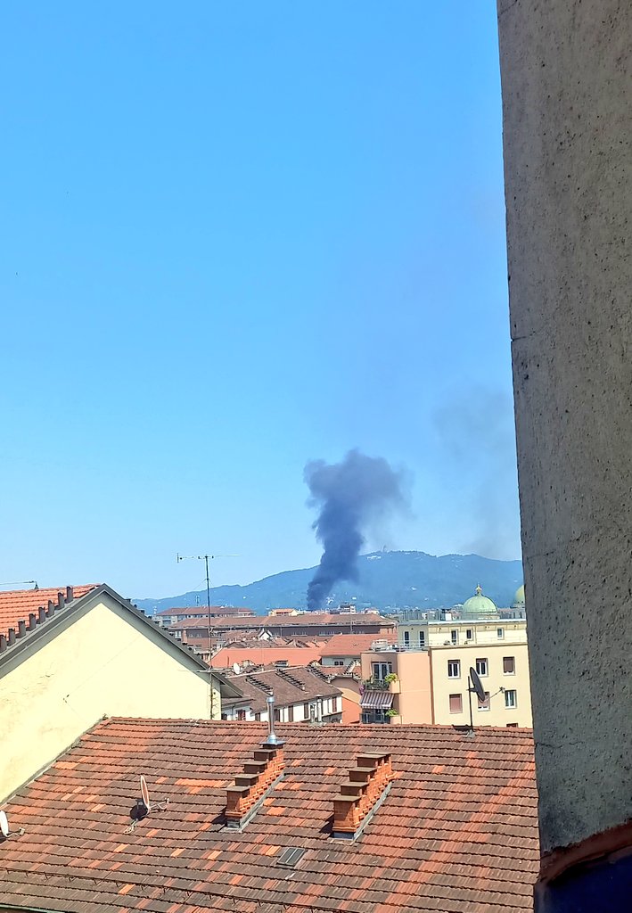 Bertinoro Stan Account tweet media