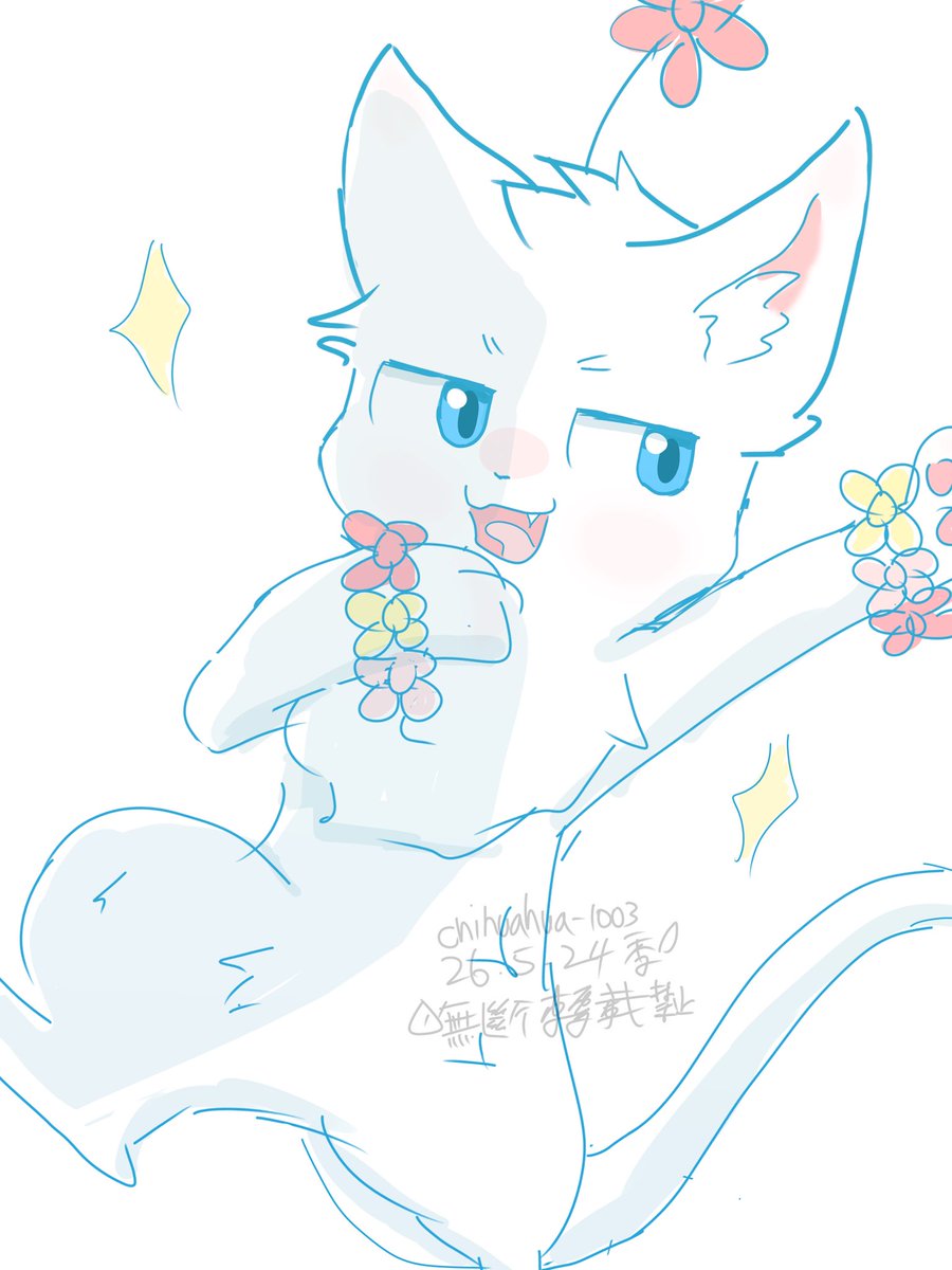 翡翠小季 tweet media
