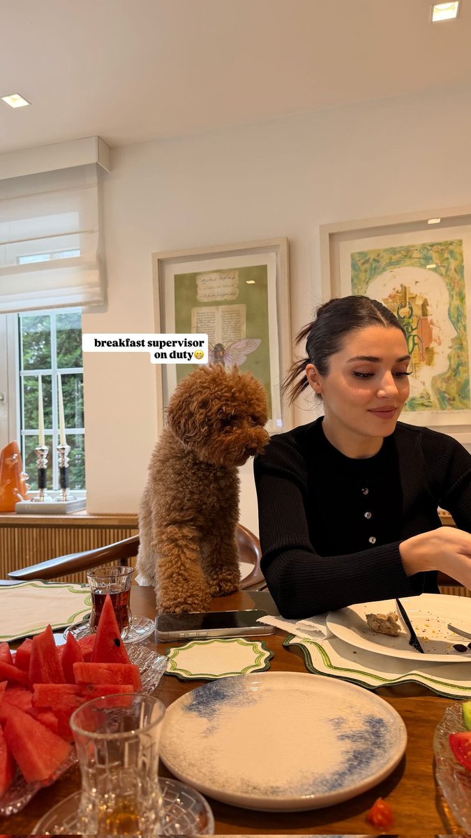 Site Hande Erçel Spain tweet media