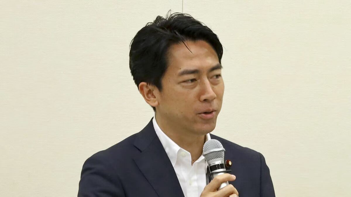 楓 tweet media