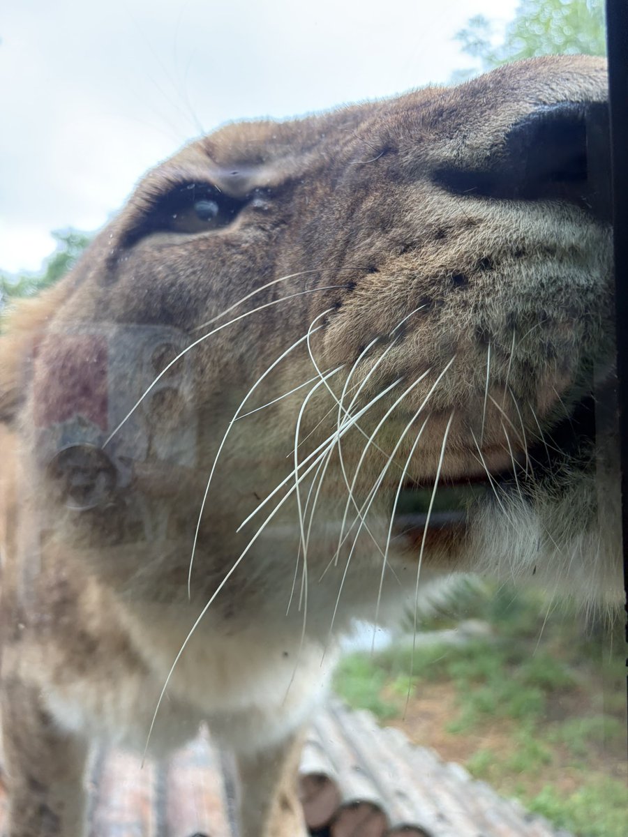 先日動物園に行ってきた！ 雨降ってたからほぼ貸切状態 みいちゃんが