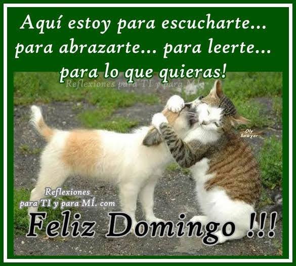 gatosviados's tweet photo. https://t.co/AccUJD6Tjl