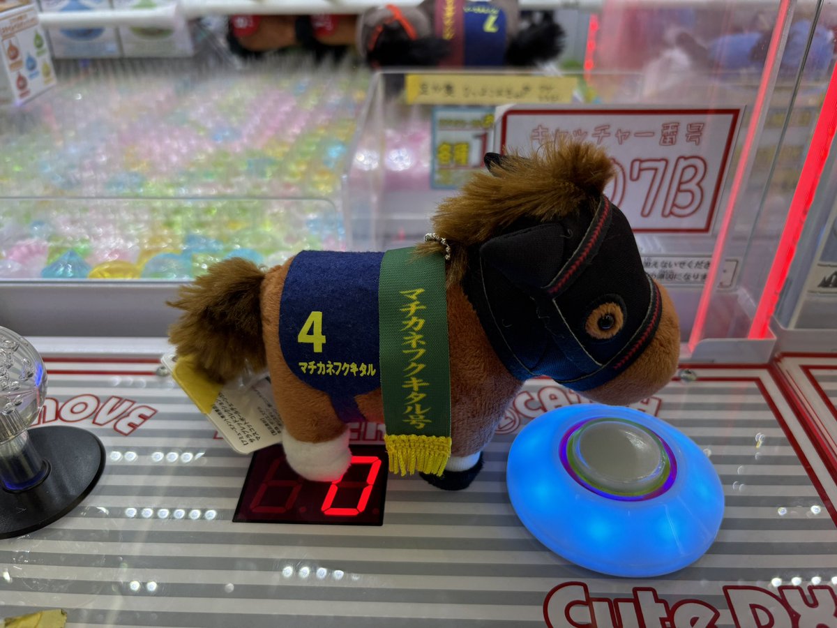 黒猫@ねことこよみ NEXT→7thライブ両日&サーコス船橋? tweet media