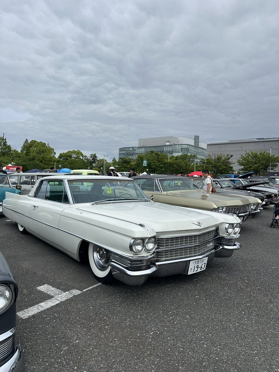 rin58caddy's tweet photo. ハーリー🐕‍🦺と一緒に見ていたので、これくらいしか写真撮れてない笑

あと58フリートの箱付きジョーハンを見てしまったので、近いうちに入手せねば、、 https://t.co/gKw7dS6siZ