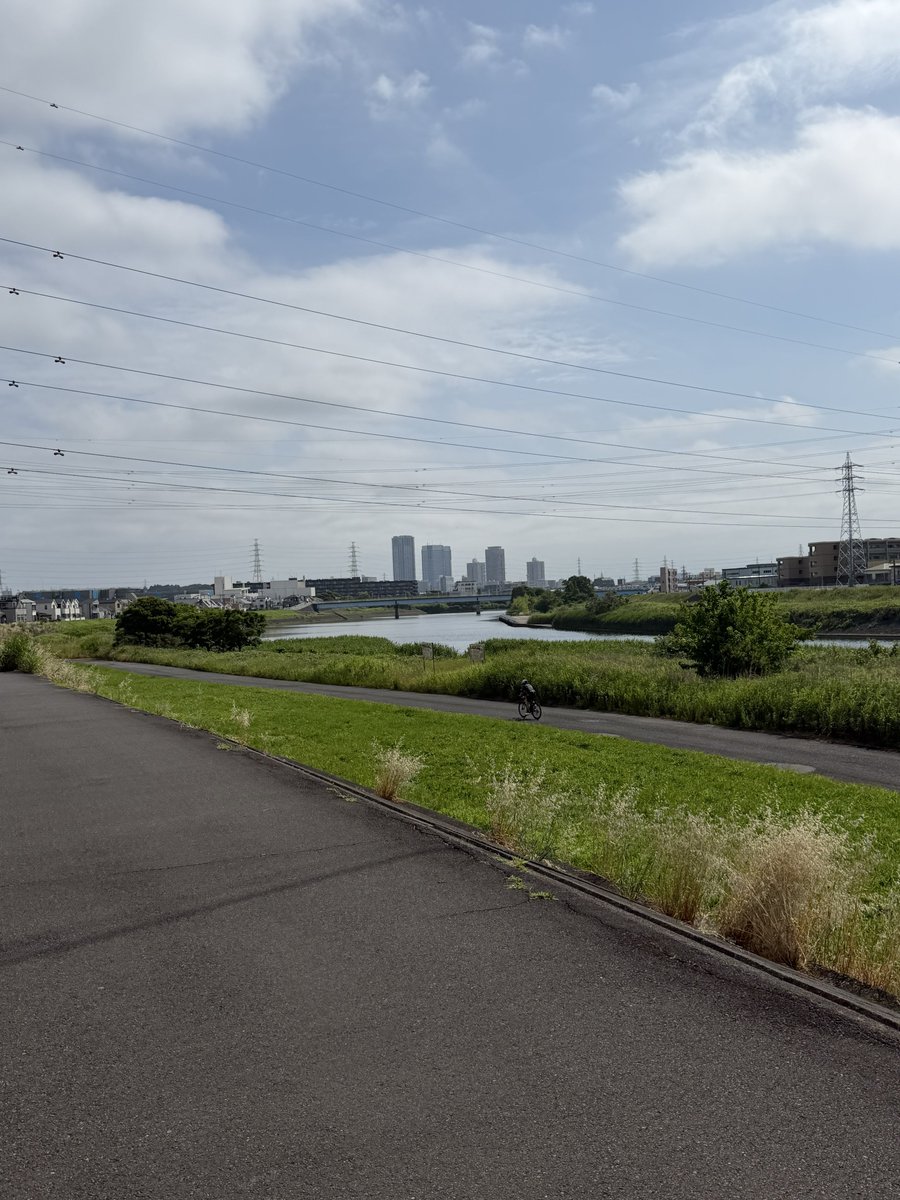 秋野 tweet media