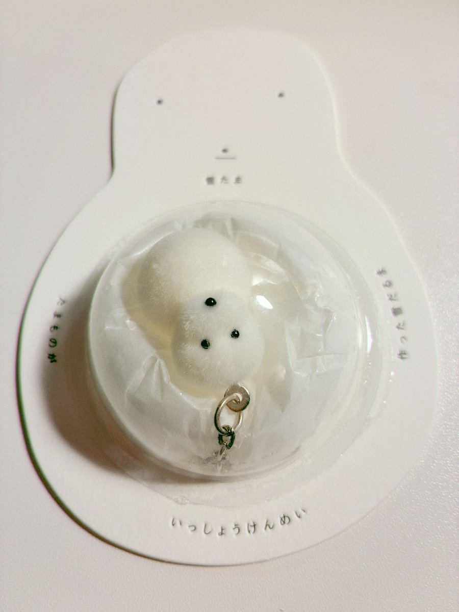 ちょっと前に届いたカネヒラさんのキーホルダー❄️ たまものが作った