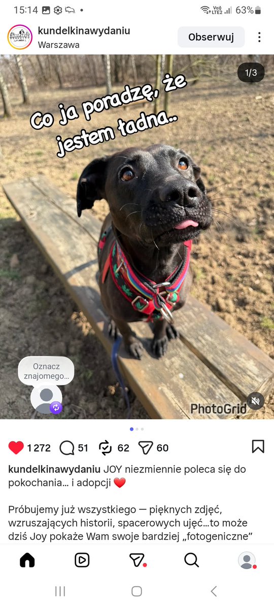 PiPi 💅 #silnaosobno tweet media
