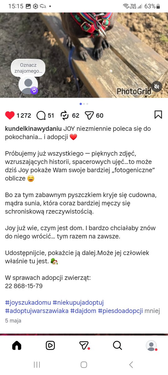 PiPi 💅 #silnaosobno tweet media
