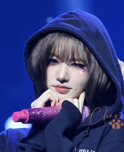 빈츠 tweet media