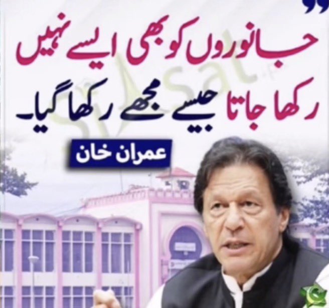 Sara Mir tweet media