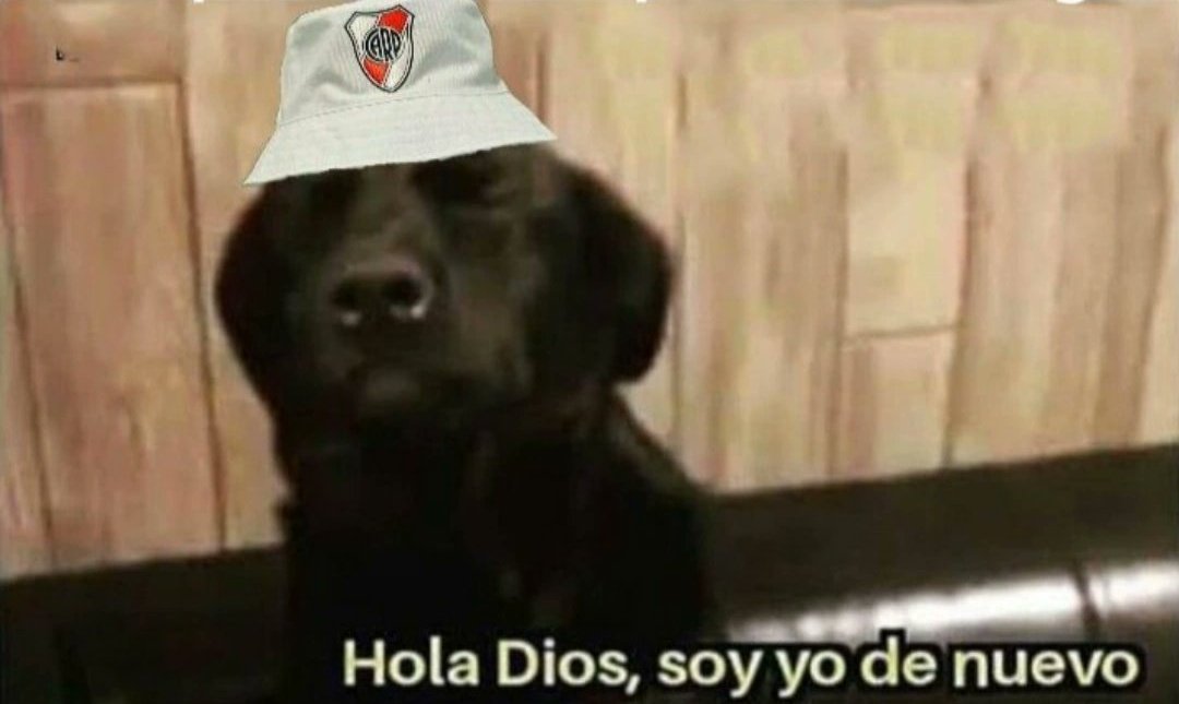 Chapu tweet media