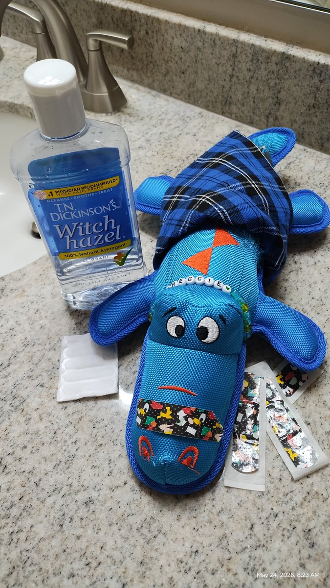 Kami Cairn and WoodenShoe Reggie (OTR Angel 2023) tweet media