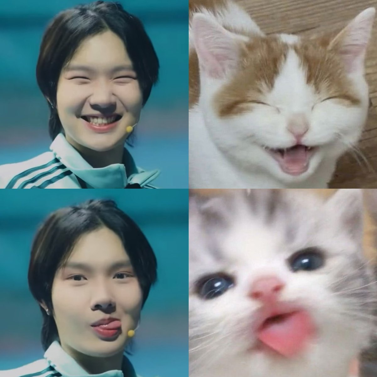 ชูชู ૮꒰ ᵕ ༝ ᵕ ꒱ა 𐙚 tweet media