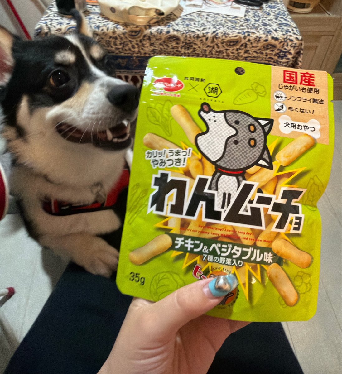 荒木明 tweet media